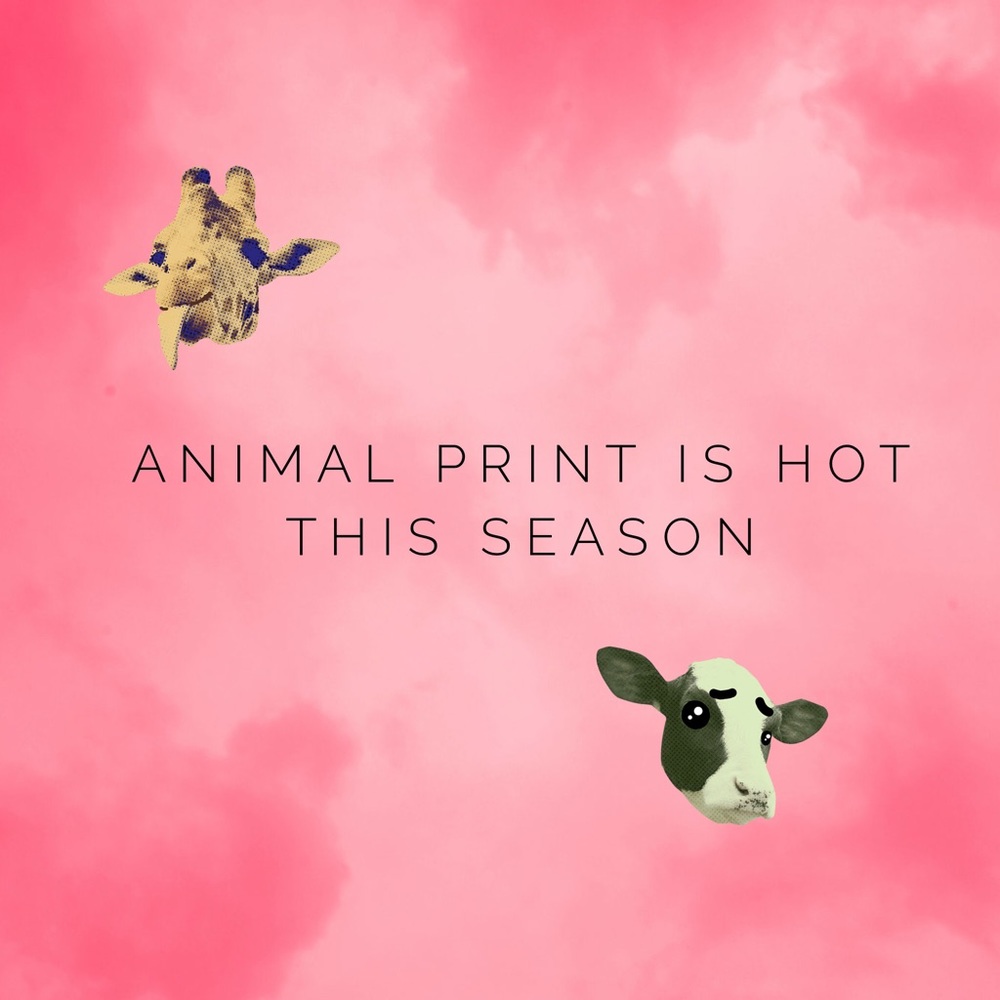 Animal print is hot for Fall and Winter!
